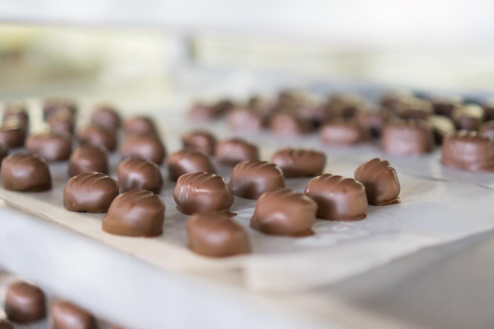 Des chocolats fins sur le plaque de préparation