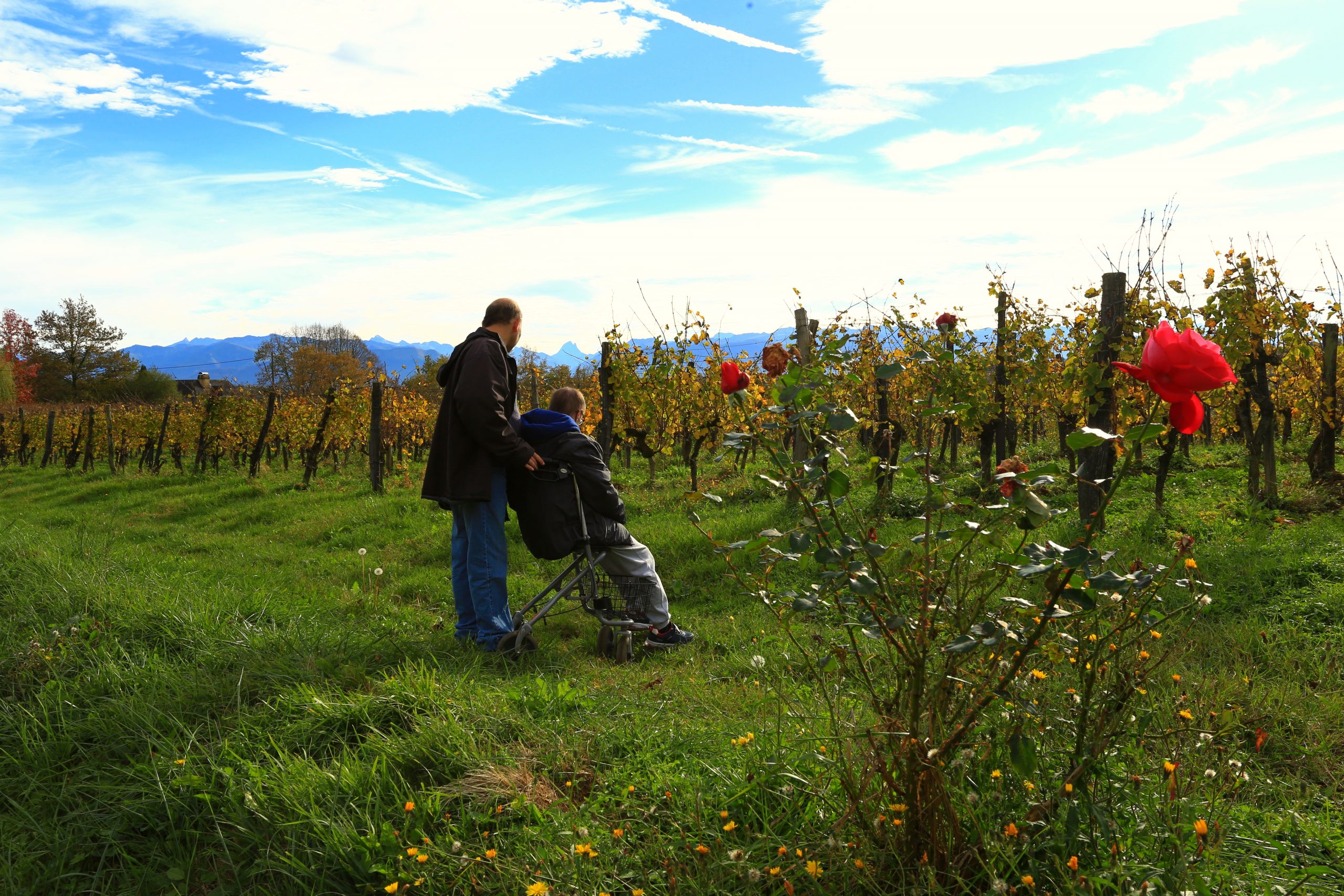 Rejoignez notre association en 2026