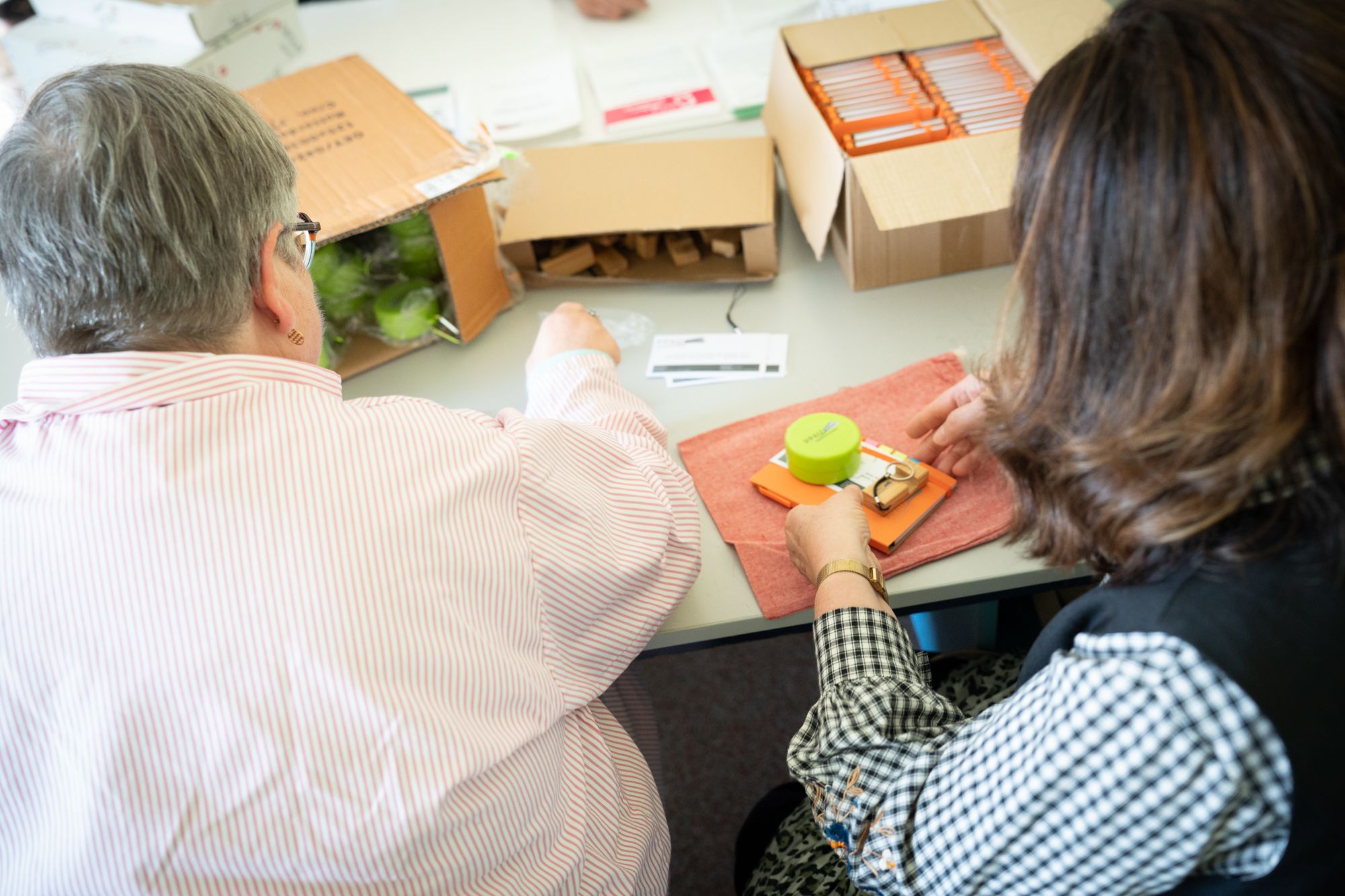 Duo Day inversé à l’ESAT Le Hameau