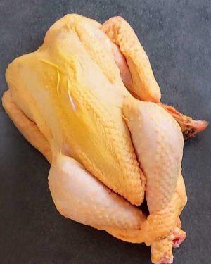 Poulet