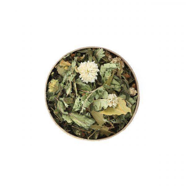 Tisane YOUPI – Image 2