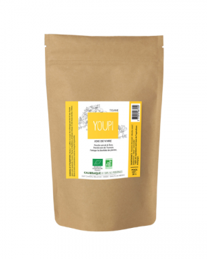 Tisane YOUPI