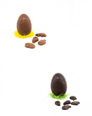 Petit œuf en chocolat