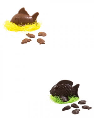 Poisson en chocolat