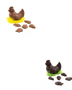 Petit poule en chocolat