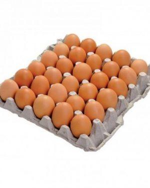 Oeufs de poules élevées en plein-air