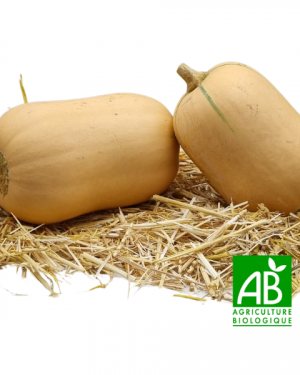 butternut-bio-1-piece