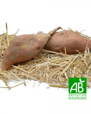 patate-douce-bio-1kg