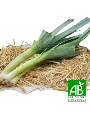 Botte de poireaux bio (750g)