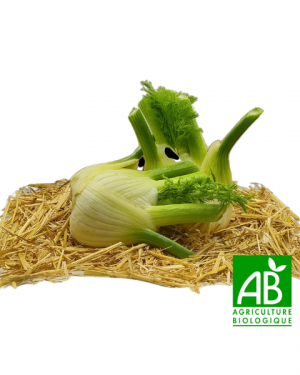 Fenouil bio (500g)