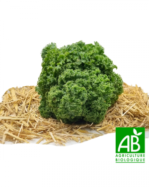 Chou kale (300g)