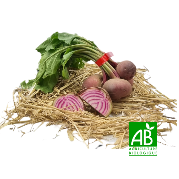 Betteraves Chioggia (botte)