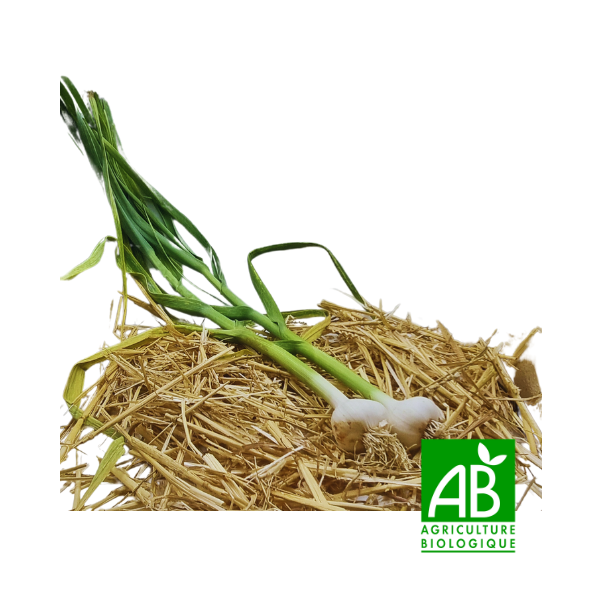 Ail (250g)
