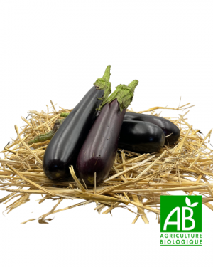 Aubergines (1kg)