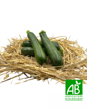 Courgettes (1kg)