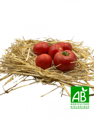 Tomates Paola (1kg)