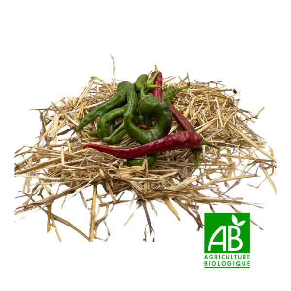 Piment doux (250g)