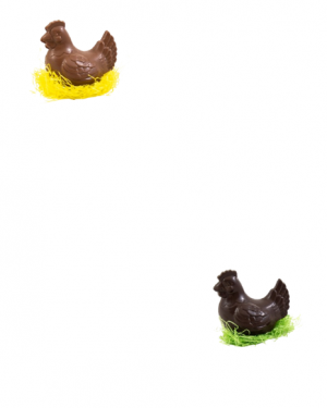 Petit poule en chocolat