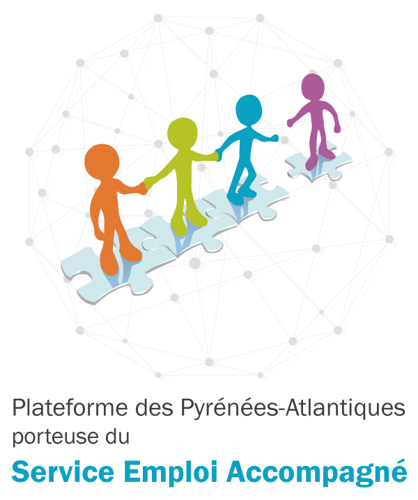 Plateforme porteuse du Service Emploi Accompagné