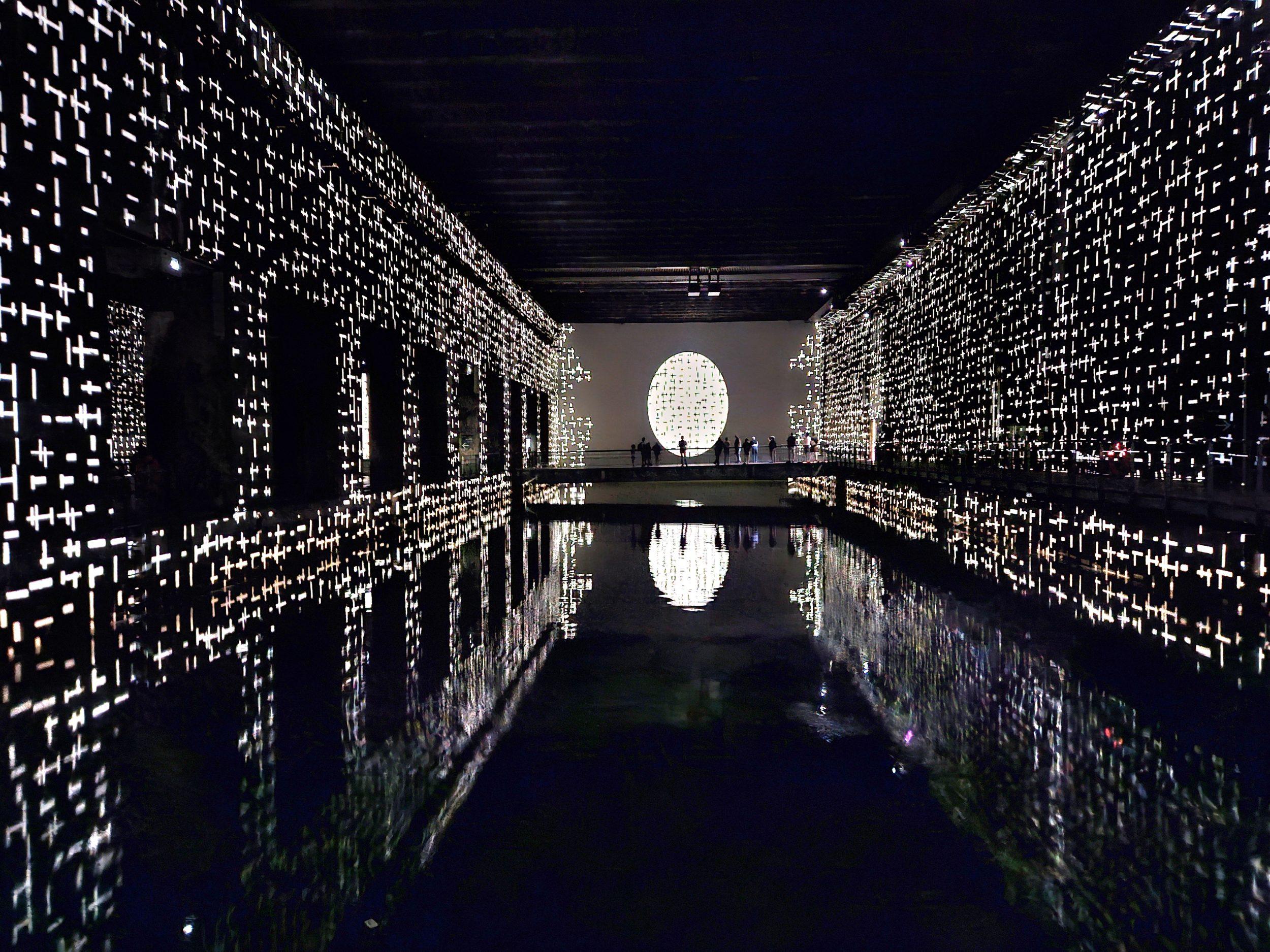 Adapei des P.A journée au bassin des lumières