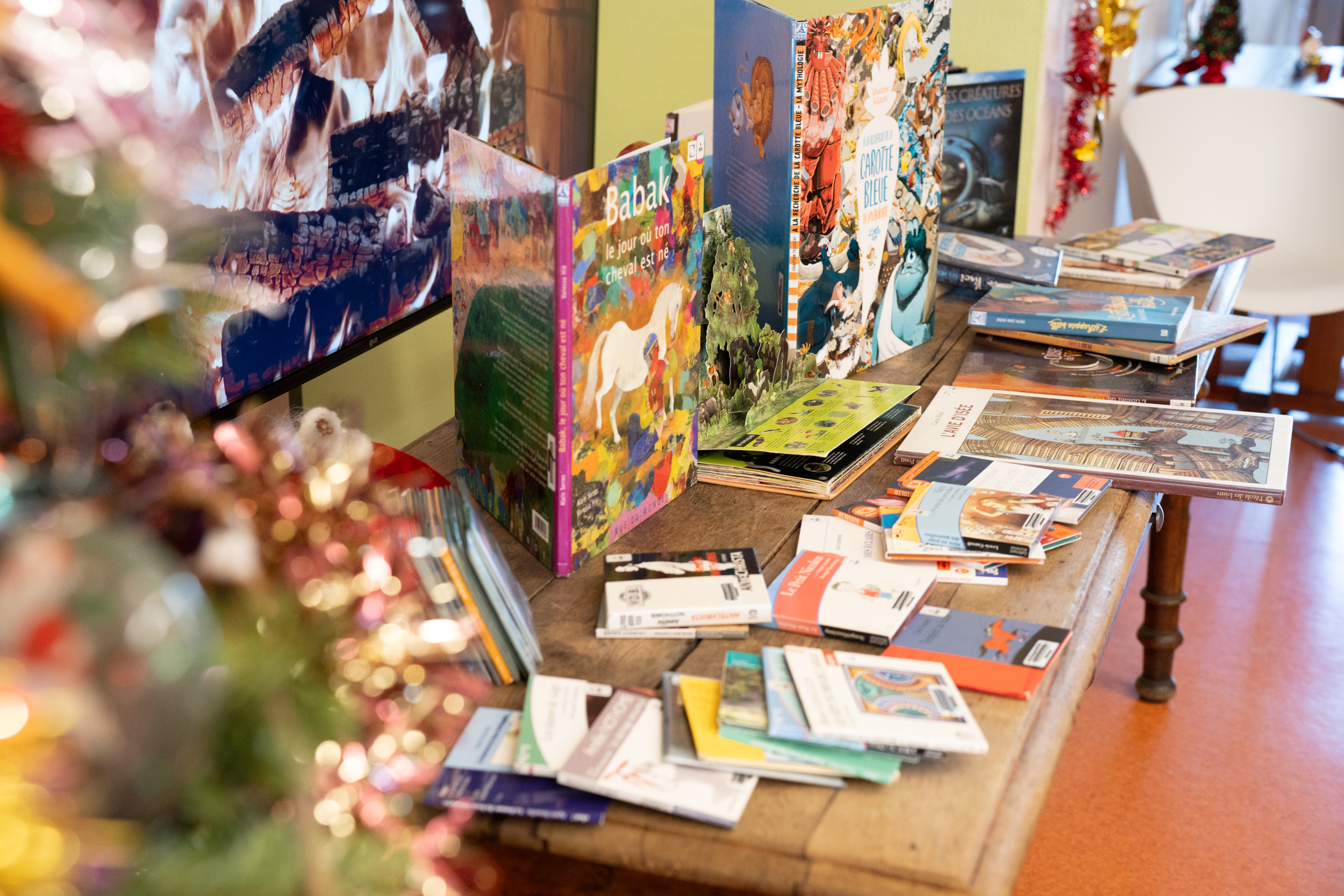 le Conseil départemental s’engage aux côtés de l’Adapei  pour favoriser l’accès à la lecture et à la culture